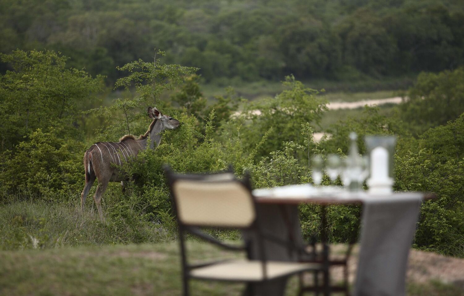 PlaceholderImage1302